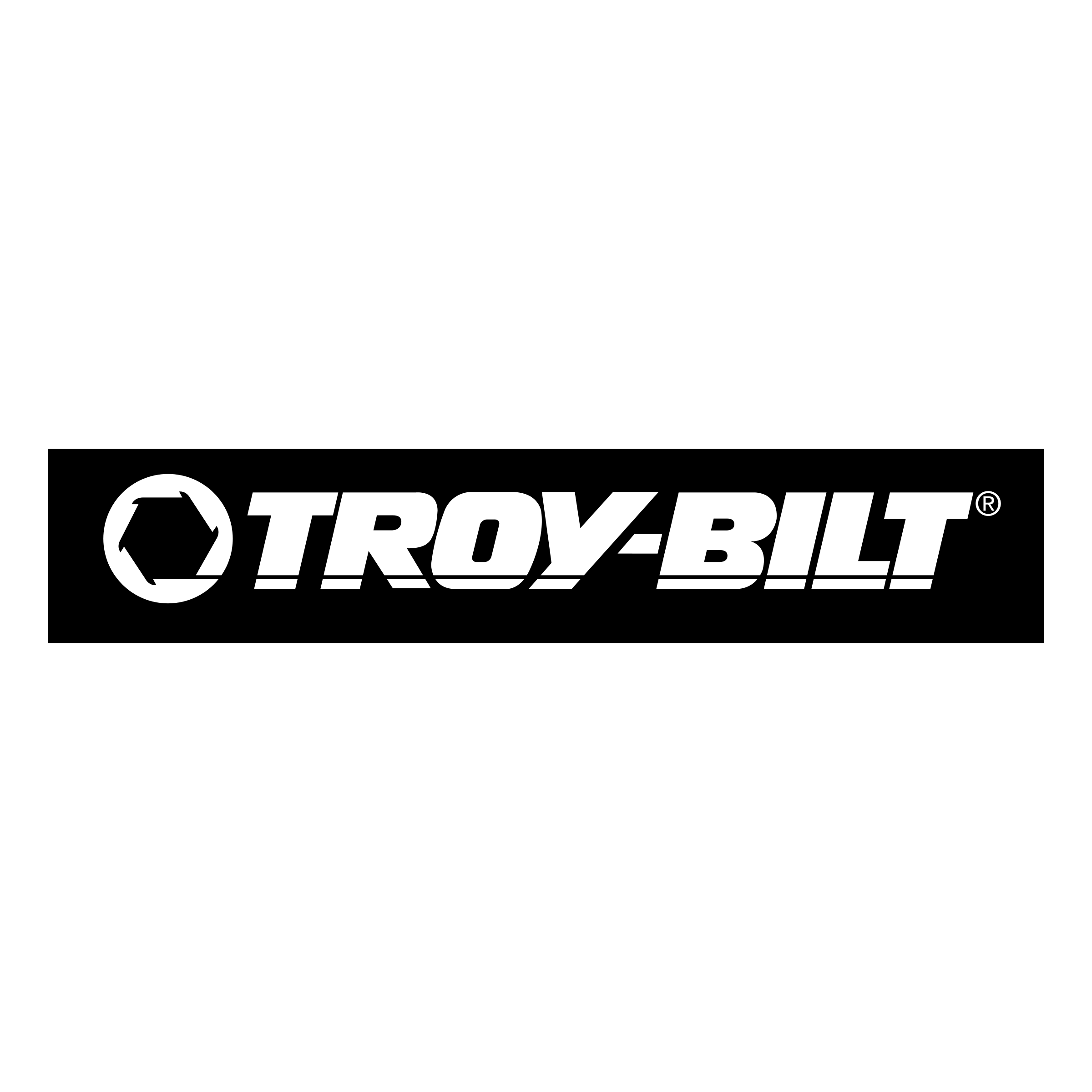 https://radtech.ca/en/wp-content/uploads/sites/6/2021/05/troy-bilt-logo-png-transparent.png